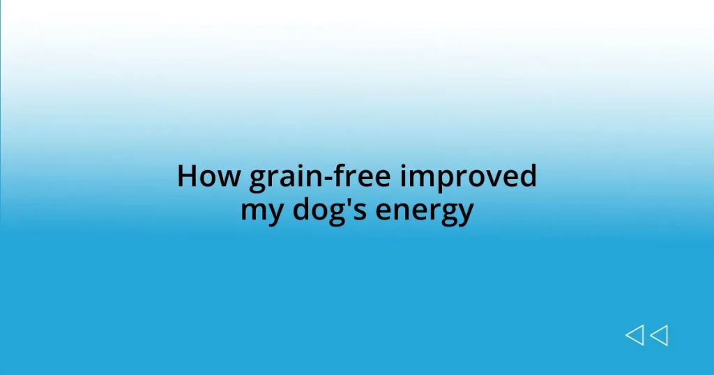 How grain-free improved my dog’s energy