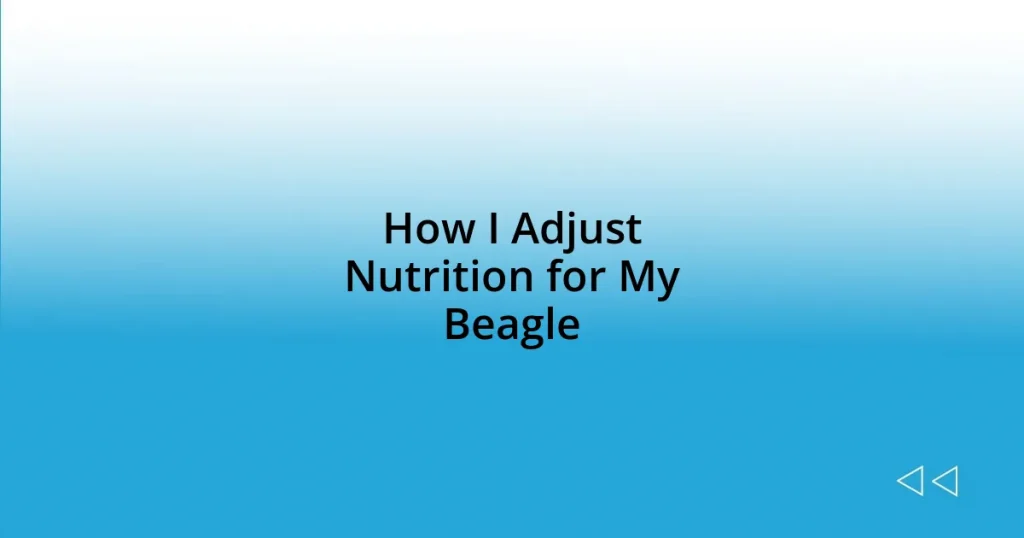 How I Adjust Nutrition for My Beagle