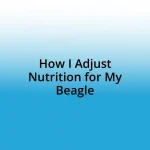 How I Adjust Nutrition for My Beagle