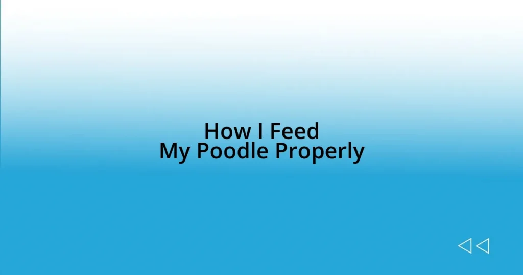 How I Feed My Poodle Properly