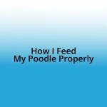 How I Feed My Poodle Properly