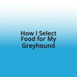 How I Select Food for My Greyhound