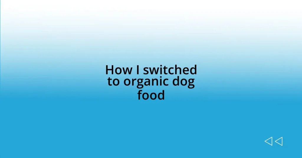 How I switched to organic dog food