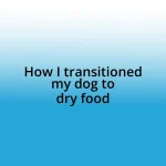 How I transitioned my dog to dry food