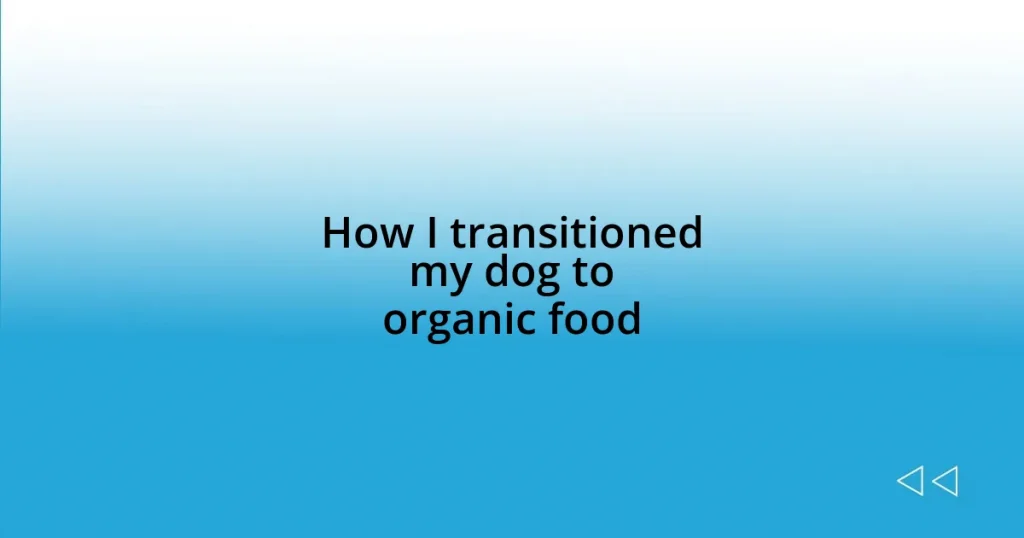 How I transitioned my dog to organic food