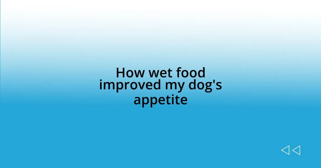 How wet food improved my dog’s appetite