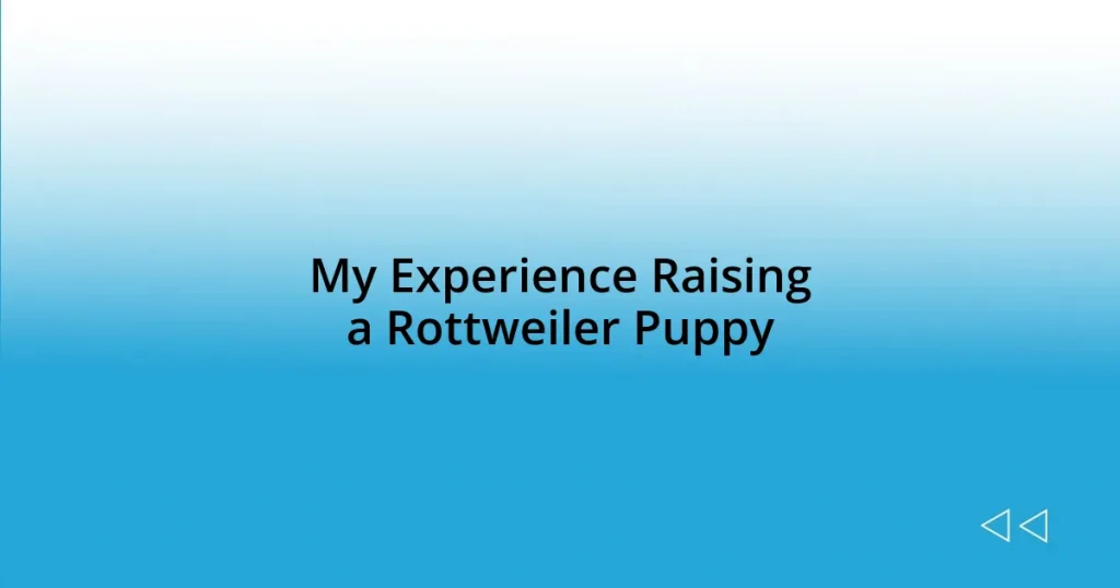 My Experience Raising a Rottweiler Puppy