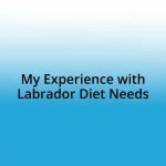 My Experience with Labrador Diet Needs