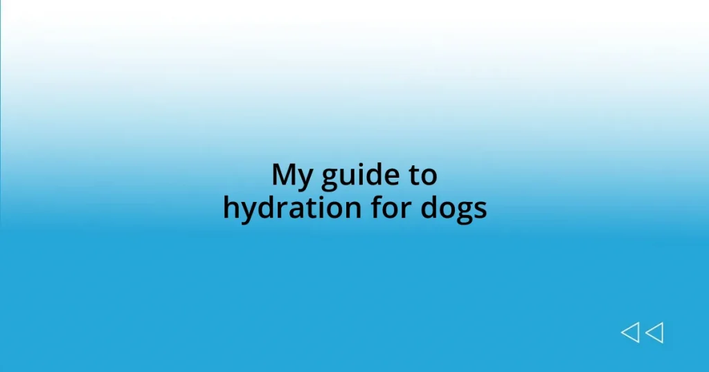 My guide to hydration for dogs