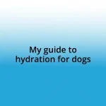 My guide to hydration for dogs