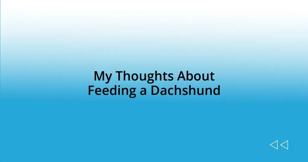 My Thoughts About Feeding a Dachshund