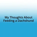 My Thoughts About Feeding a Dachshund