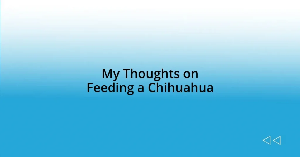 My Thoughts on Feeding a Chihuahua