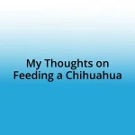 My Thoughts on Feeding a Chihuahua