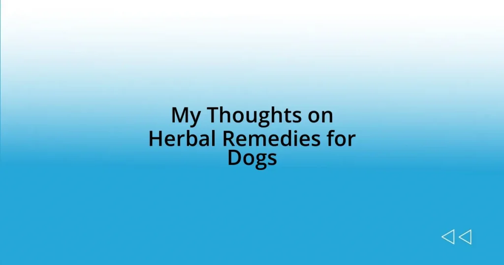 My Thoughts on Herbal Remedies for Dogs
