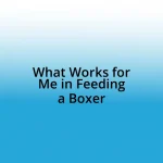 What Works for Me in Feeding a Boxer