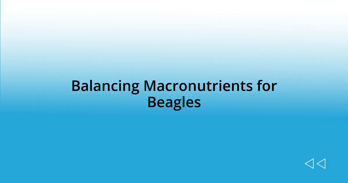 Balancing Macronutrients for Beagles