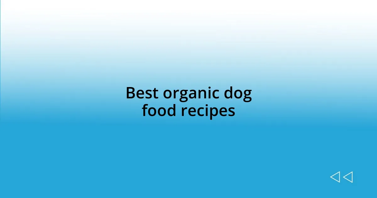 Best organic dog food recipes