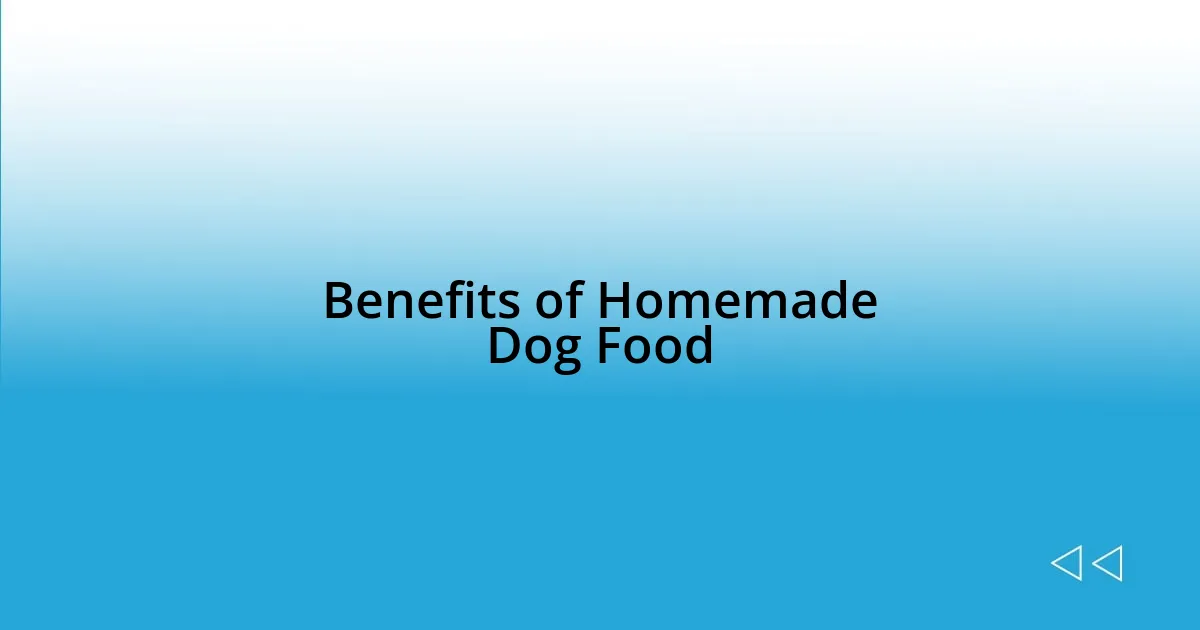Benefits of Homemade Dog Food