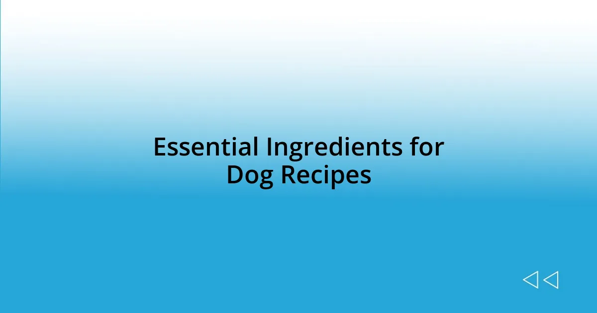 Essential Ingredients for Dog Recipes