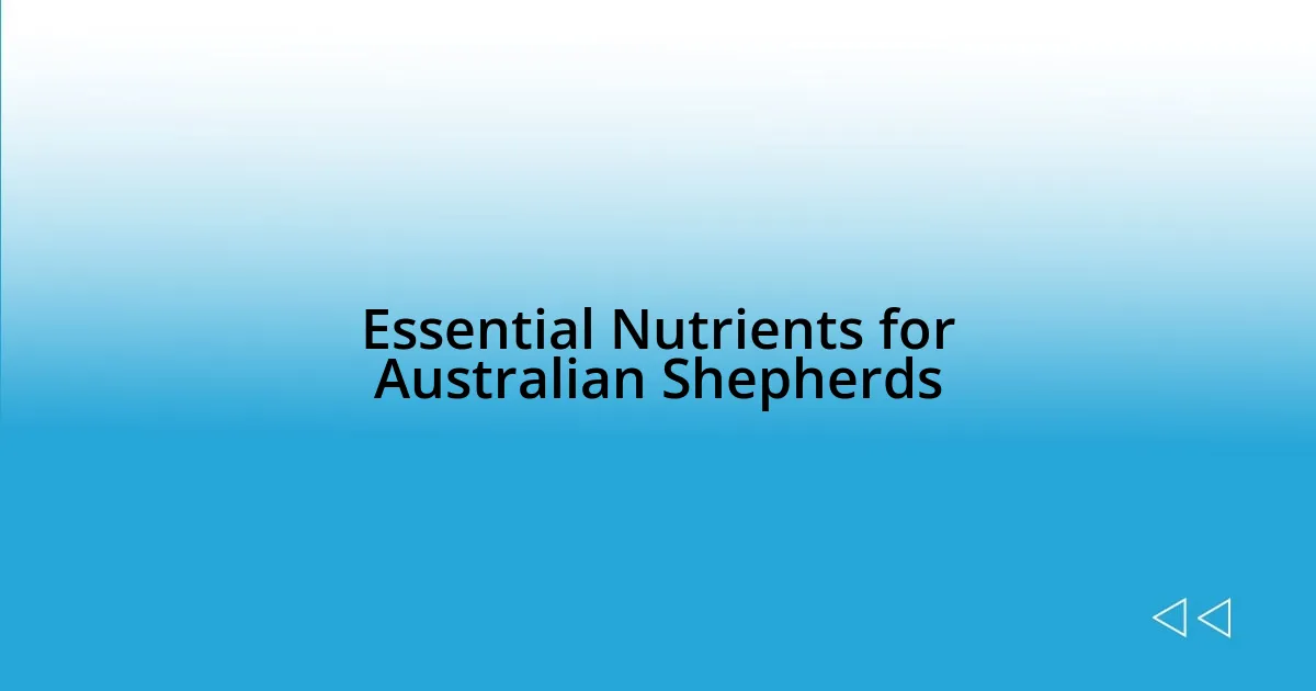 Essential Nutrients for Australian Shepherds