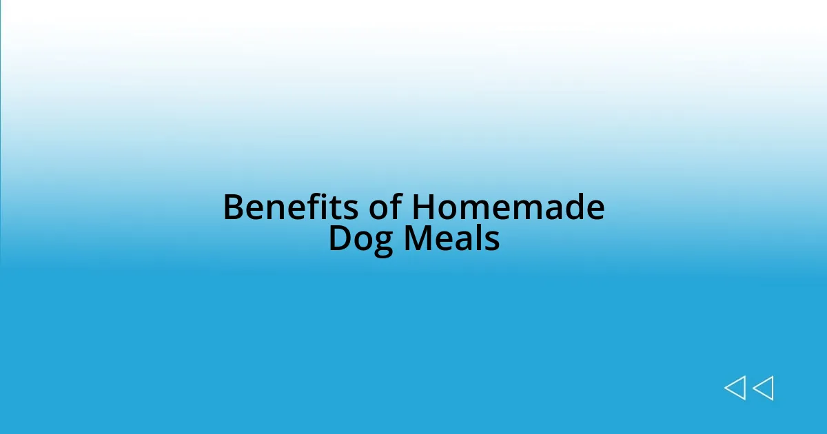 Benefits of Homemade Dog Meals