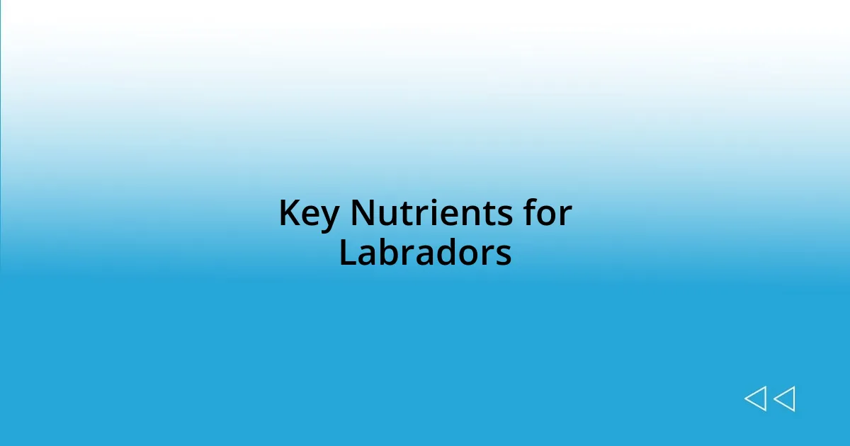 Key Nutrients for Labradors