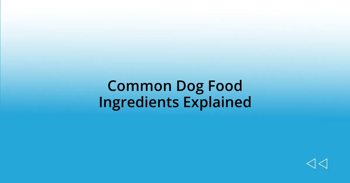 Common Dog Food Ingredients Explained