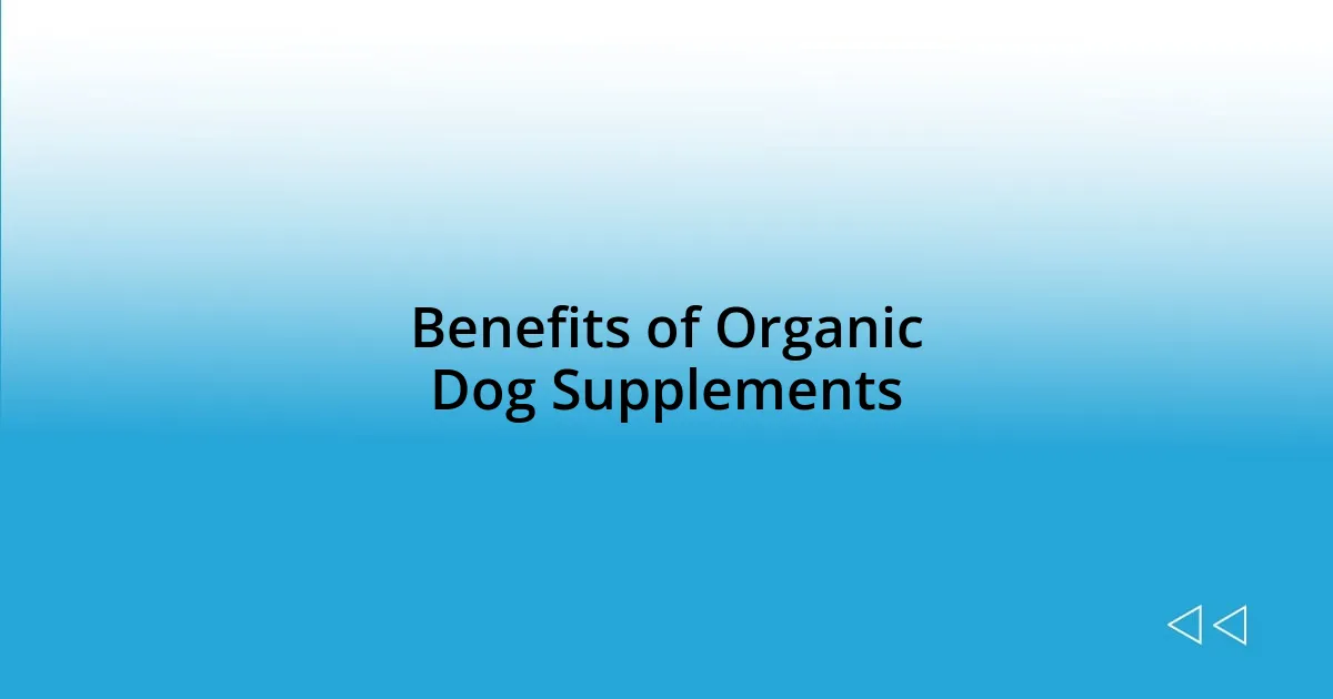 Benefits of Organic Dog Supplements