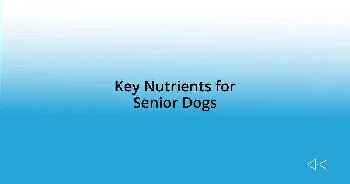 Key Nutrients for Senior Dogs