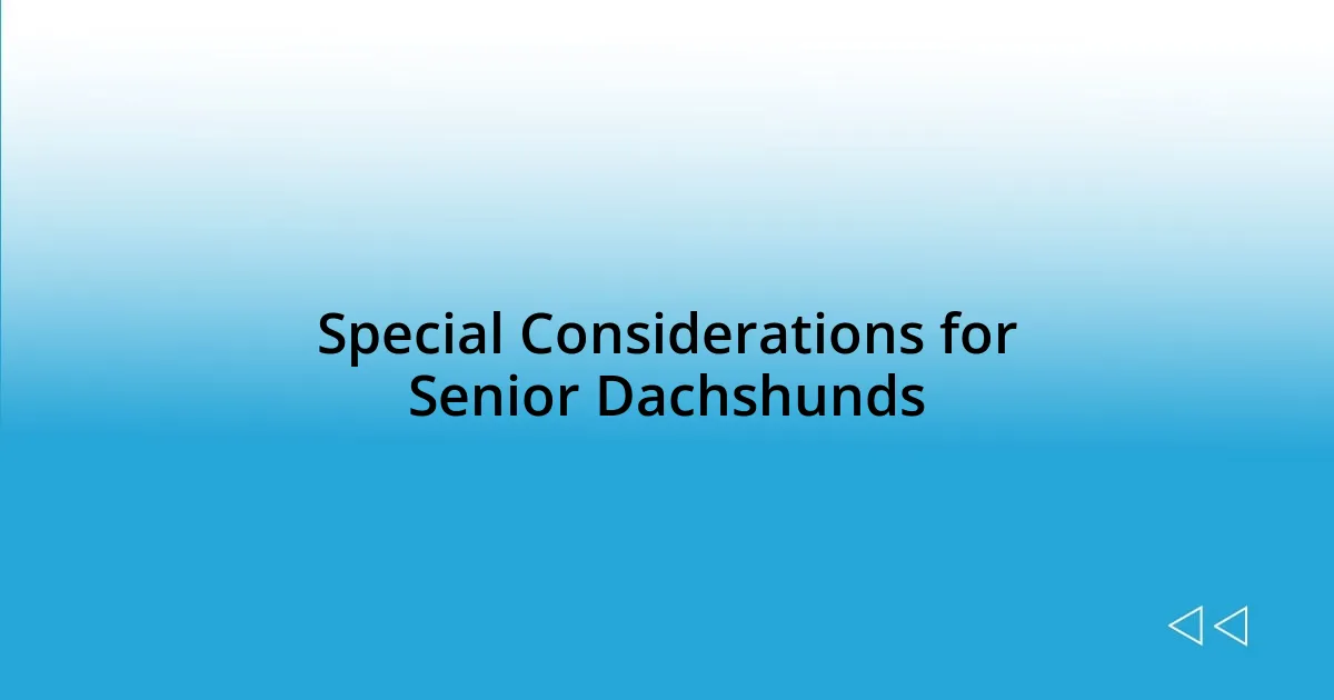 Special Considerations for Senior Dachshunds