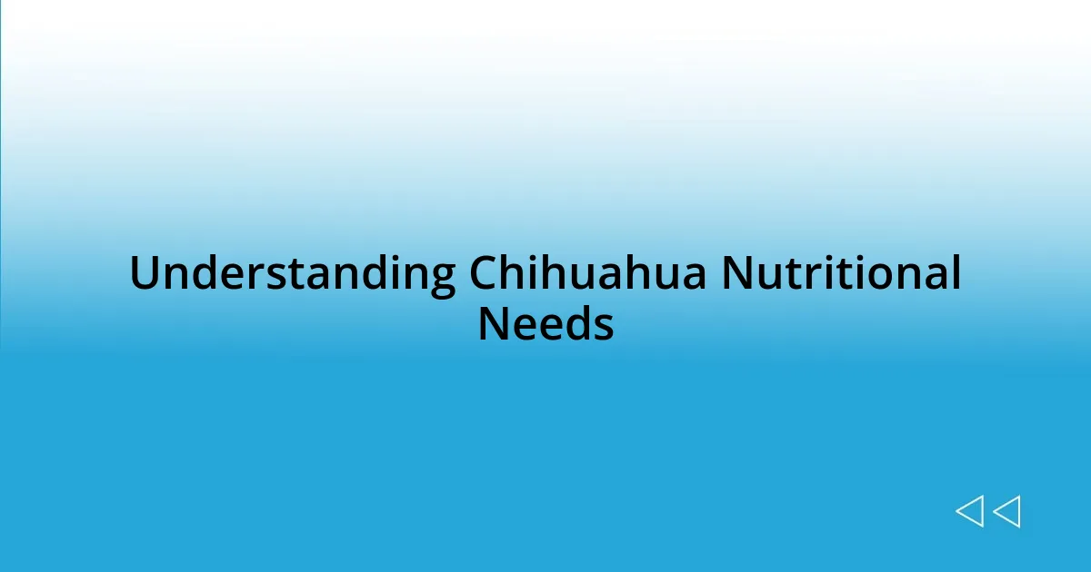 Understanding Chihuahua Nutritional Needs