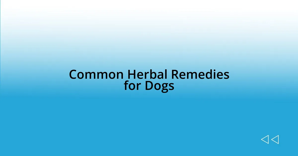 Common Herbal Remedies for Dogs