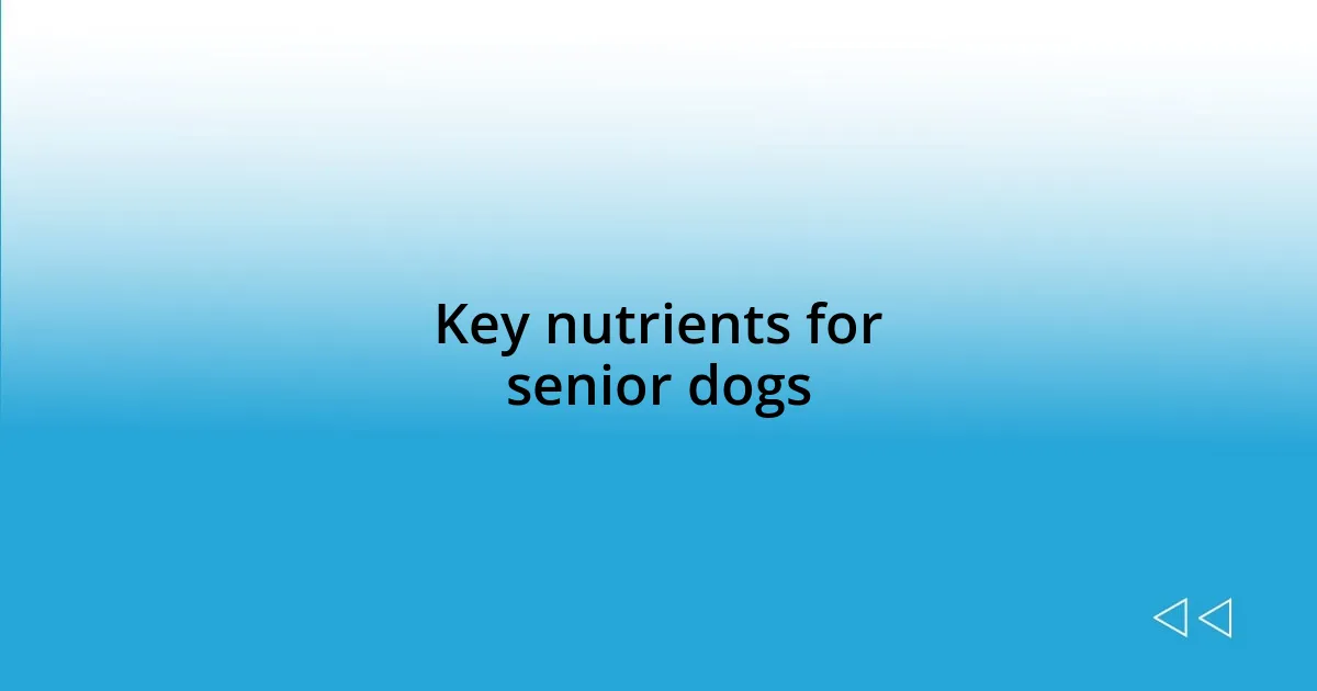 Key nutrients for senior dogs