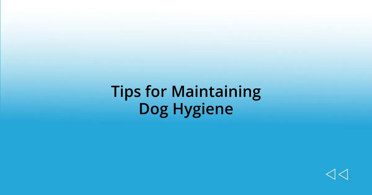 Tips for Maintaining Dog Hygiene