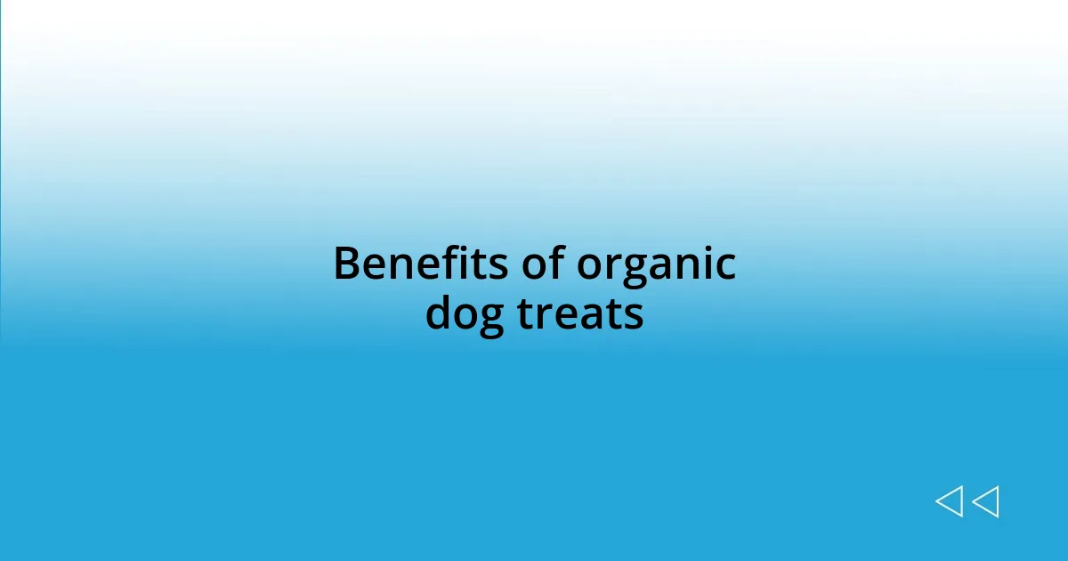 Benefits of organic dog treats