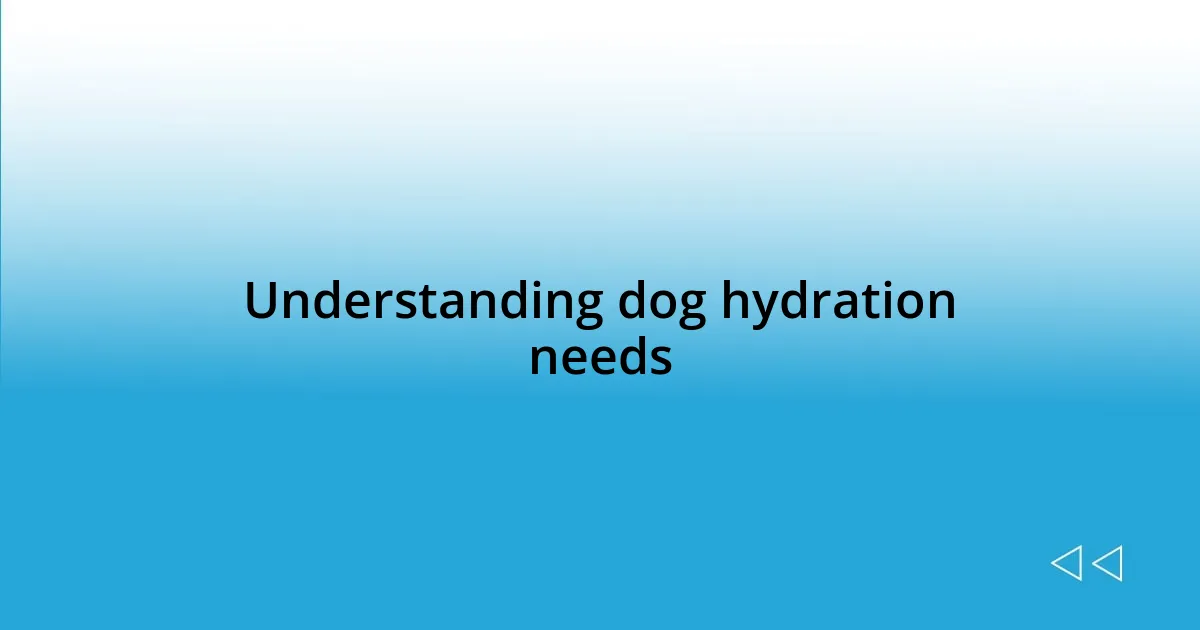 Understanding dog hydration needs