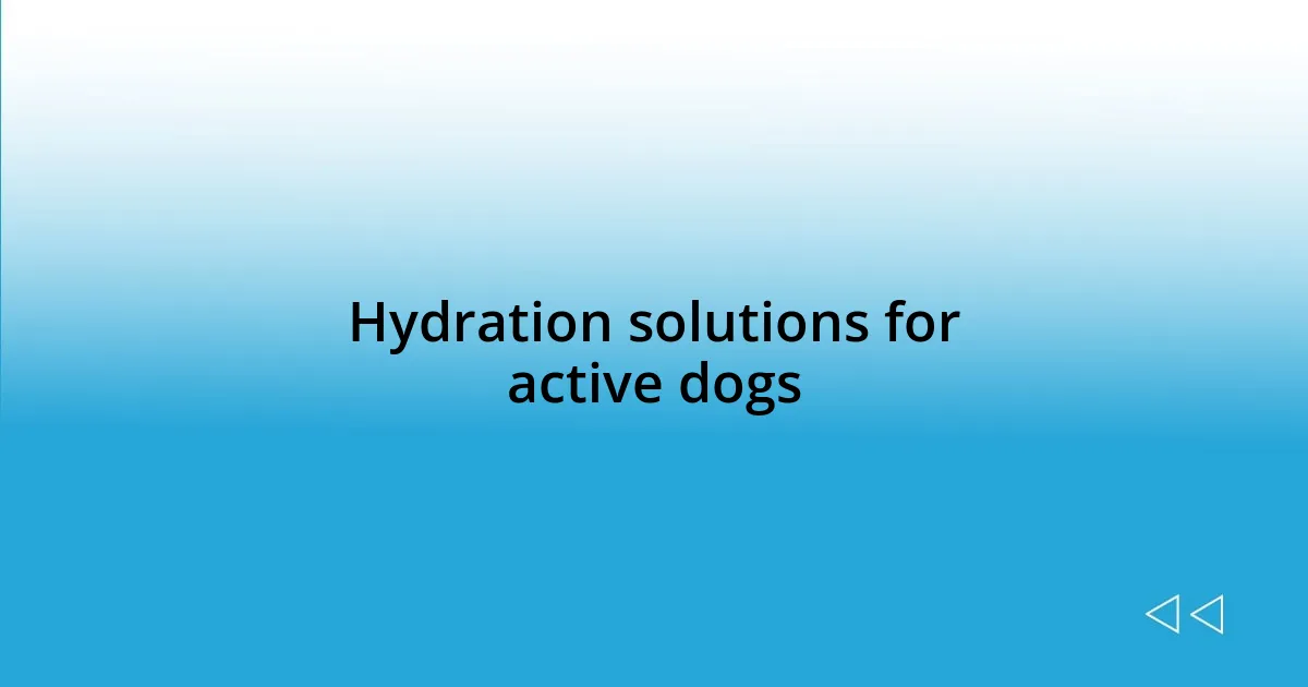 Hydration solutions for active dogs