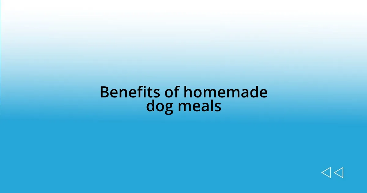 Benefits of homemade dog meals