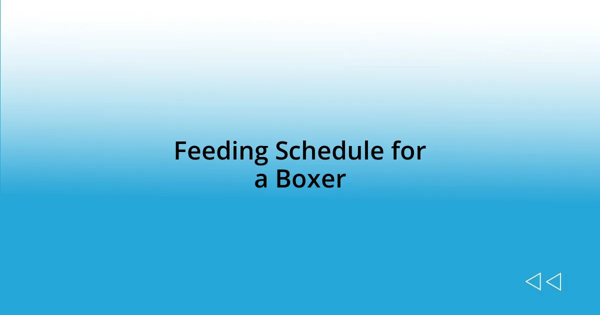 Feeding Schedule for a Boxer