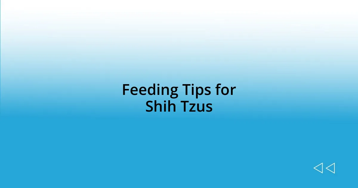 Feeding Tips for Shih Tzus